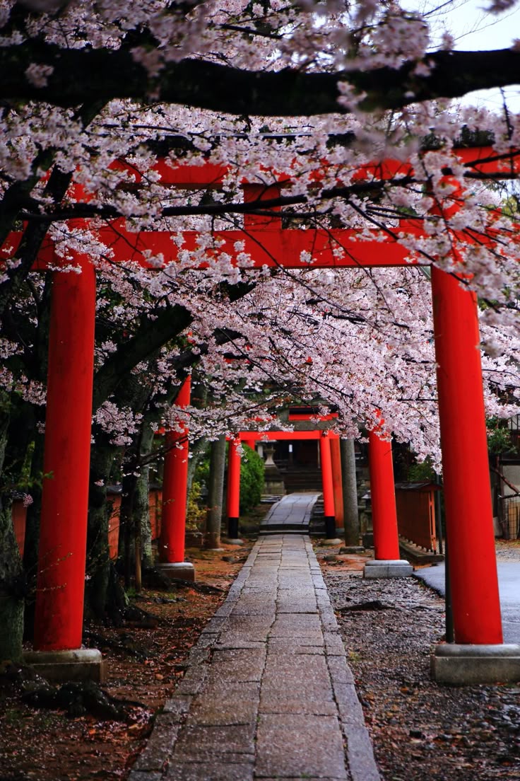 Kyoto